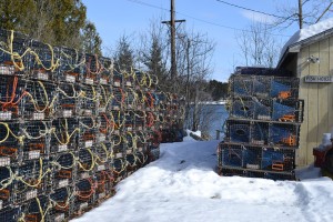 Frozen Lobster Traps