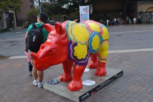 Creative Aussie Rhinos