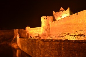 Cahir Castle- March 5, 2011