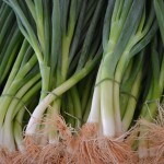 Australian Style Scallions