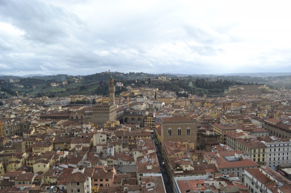 Towers view of Firenze