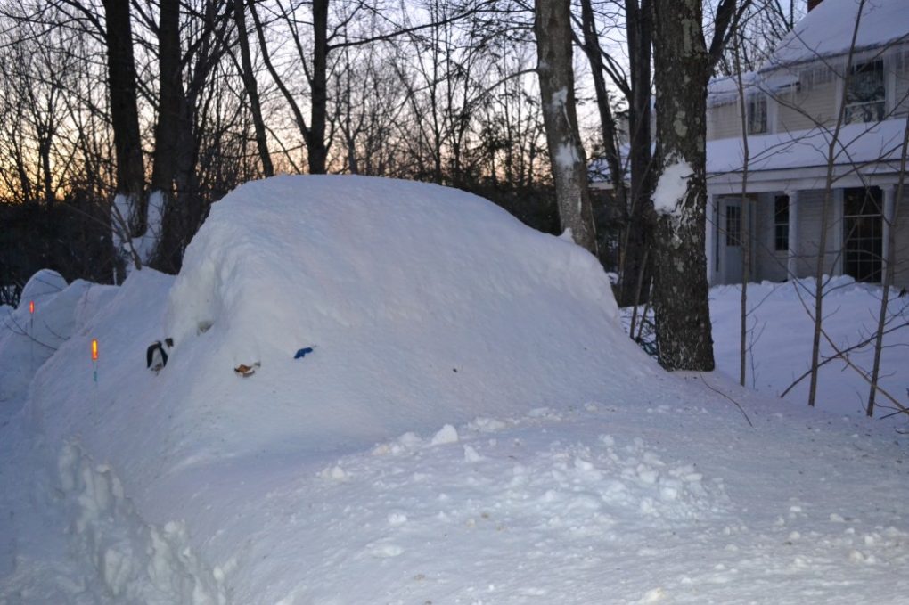 Even this wood pile is encased in Frozen Snow